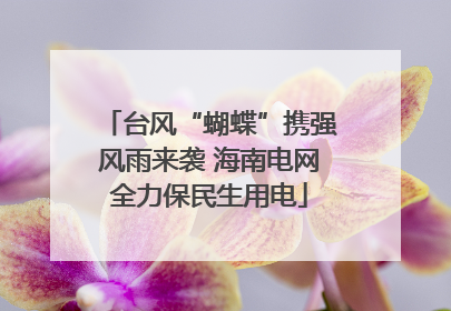 台风“蝴蝶”携强风雨来袭 海南电网全力保民生用电