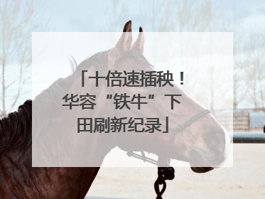 十倍速插秧！华容“铁牛”下田刷新纪录