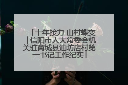 十年接力 山村蝶变│信阳市人大常委会机关驻商城县油坊店村第一书记工作纪实