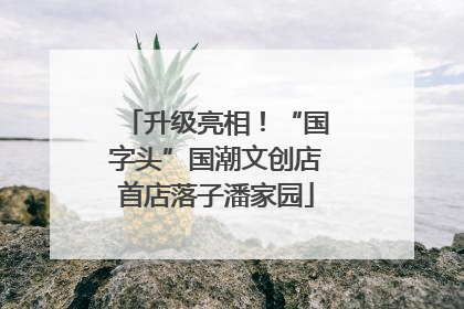 升级亮相！“国字头”国潮文创店首店落子潘家园