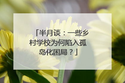 半月谈：一些乡村学校为何陷入孤岛化困局？