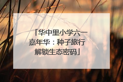 华中里小学六一嘉年华：种子旅行解锁生态密码