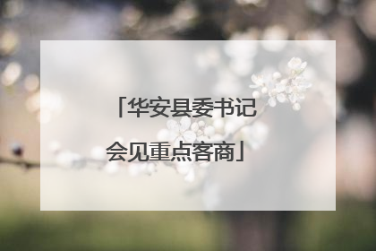 华安县委书记会见重点客商
