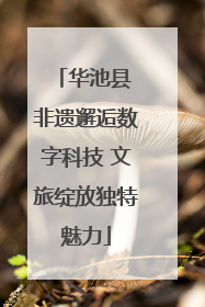 华池县 非遗邂逅数字科技 文旅绽放独特魅力