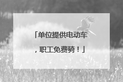 单位提供电动车，职工免费骑！