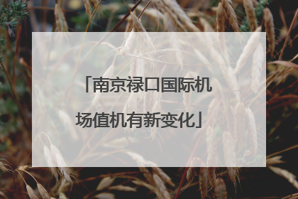 南京禄口国际机场值机有新变化