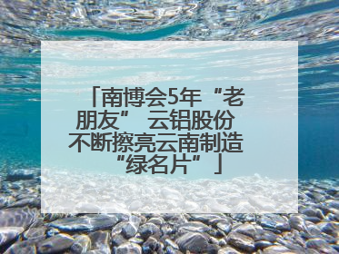南博会5年“老朋友” 云铝股份不断擦亮云南制造“绿名片”