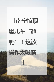 南宁惊现婴儿车“遛鸭”！这波操作太吸睛