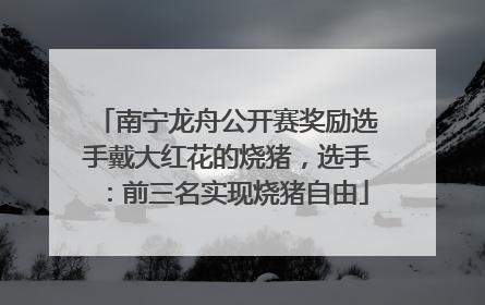 南宁龙舟公开赛奖励选手戴大红花的烧猪，选手：前三名实现烧猪自由