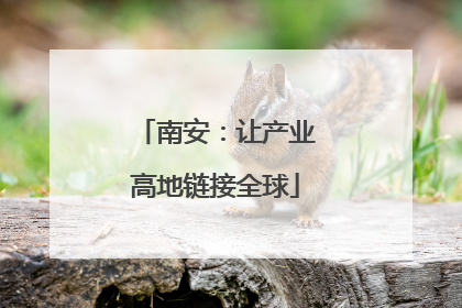 南安：让产业高地链接全球