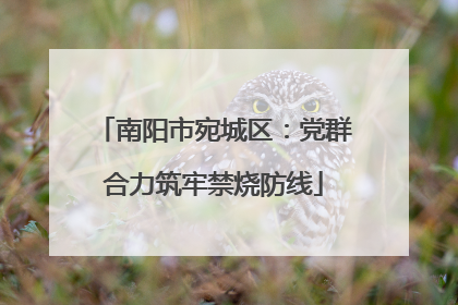 南阳市宛城区：党群合力筑牢禁烧防线