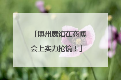 博州展馆在商博会上实力抢镜！