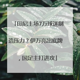 印尼主场7万球迷制造压力？伊万亮出底牌，国足主打进攻