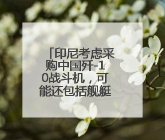印尼考虑采购中国歼-10战斗机，可能还包括舰艇、护卫舰