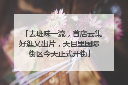 去班味一流，首店云集好逛又出片，天目里国际街区今天正式开街