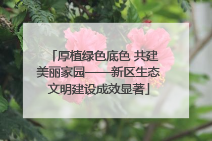 厚植绿色底色 共建美丽家园——新区生态文明建设成效显著