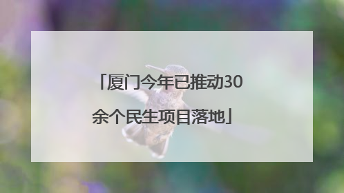 厦门今年已推动30余个民生项目落地