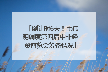 倒计时6天！毛伟明调度第四届中非经贸博览会筹备情况