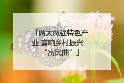 做大做强特色产业 奏响乡村振兴“富民曲”