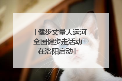 健步丈量大运河 全国健步走活动在洛阳启动