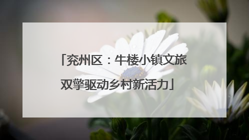 兖州区：牛楼小镇文旅双擎驱动乡村新活力