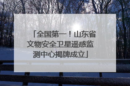 全国第一！山东省文物安全卫星遥感监测中心揭牌成立
