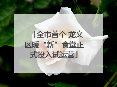 全市首个 龙文区暖“新”食堂正式投入试运营