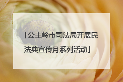 公主岭市司法局开展民法典宣传月系列活动