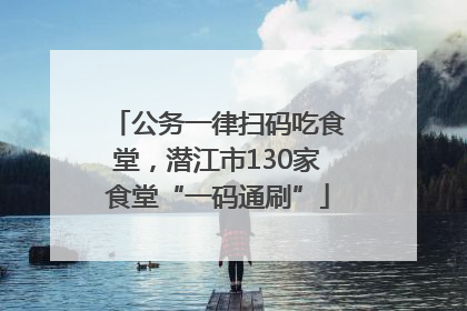 公务一律扫码吃食堂，潜江市130家食堂“一码通刷”