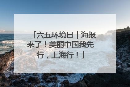 六五环境日｜海报来了！美丽中国我先行，上海行！