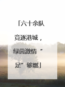 六十余队竞逐港城，绿茵激情“足”够燃