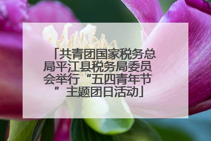 共青团国家税务总局平江县税务局委员会举行“五四青年节”主题团日活动