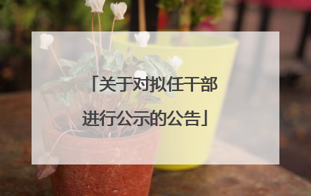 关于对拟任干部进行公示的公告