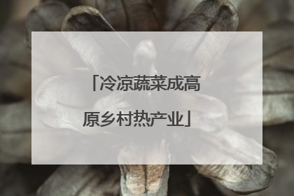 冷凉蔬菜成高原乡村热产业