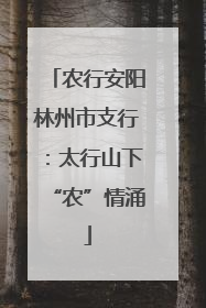 农行安阳林州市支行：太行山下“农”情涌