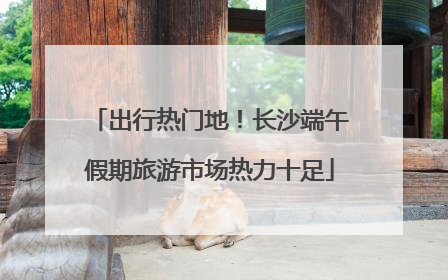 出行热门地！长沙端午假期旅游市场热力十足