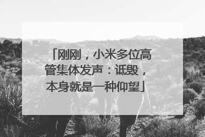 刚刚，小米多位高管集体发声：诋毁，本身就是一种仰望