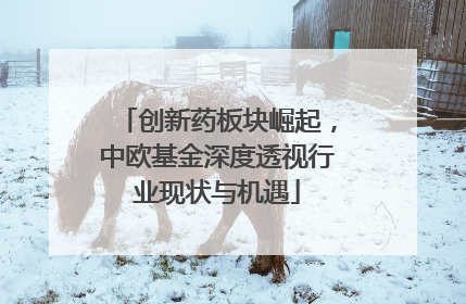 创新药板块崛起，中欧基金深度透视行业现状与机遇