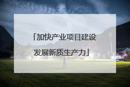 加快产业项目建设 发展新质生产力