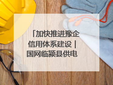加快推进豫企信用体系建设｜国网临颍县供电公司开展电力行业信用企业现场咨询访谈工作