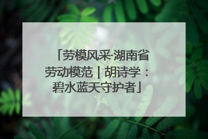劳模风采·湖南省劳动模范｜胡诗学：碧水蓝天守护者