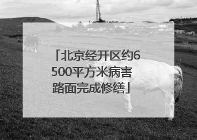 北京经开区约6500平方米病害路面完成修缮