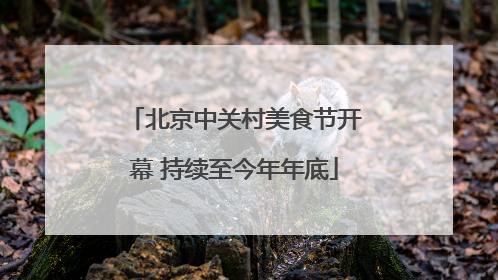 北京中关村美食节开幕 持续至今年年底