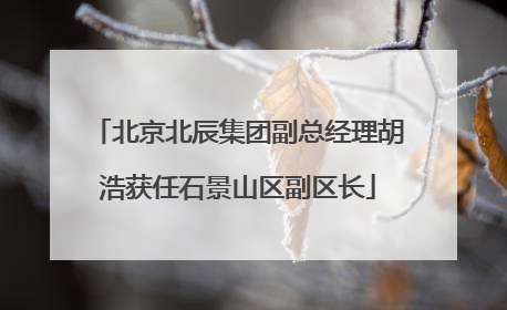 北京北辰集团副总经理胡浩获任石景山区副区长