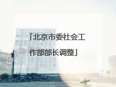北京市委社会工作部部长调整
