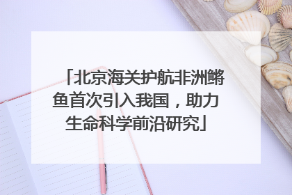 北京海关护航非洲鳉鱼首次引入我国，助力生命科学前沿研究