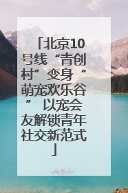 北京10号线“青创村”变身“萌宠欢乐谷” 以宠会友解锁青年社交新范式