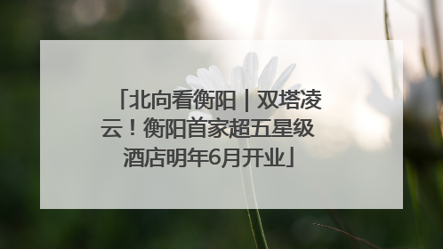 北向看衡阳｜双塔凌云！衡阳首家超五星级酒店明年6月开业