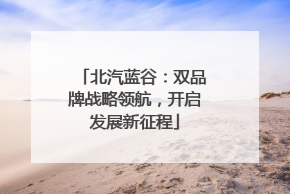 北汽蓝谷：双品牌战略领航，开启发展新征程