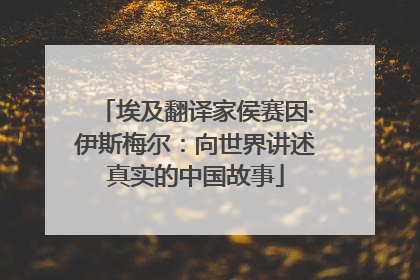 埃及翻译家侯赛因·伊斯梅尔：向世界讲述真实的中国故事
